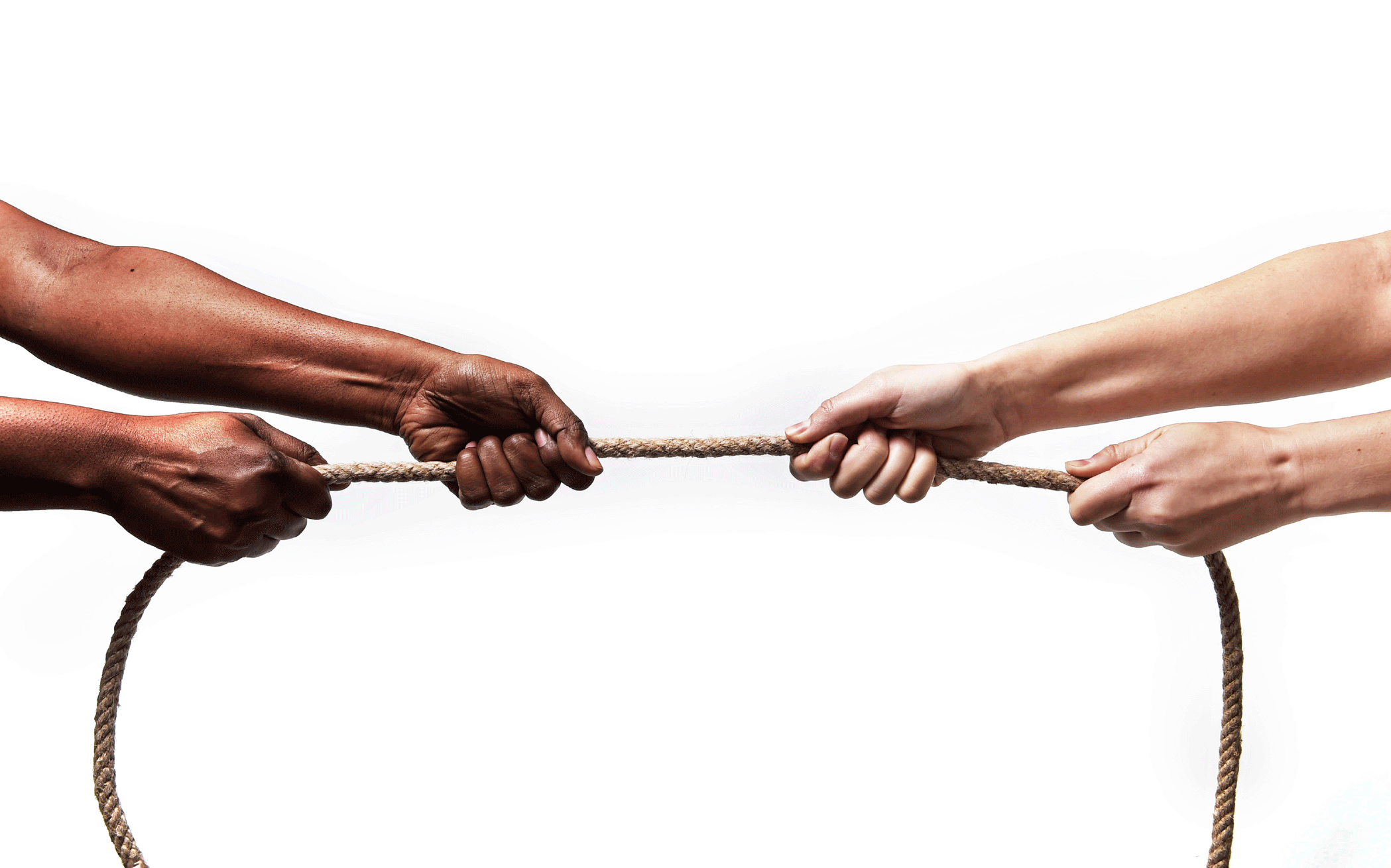 tug of war.gif