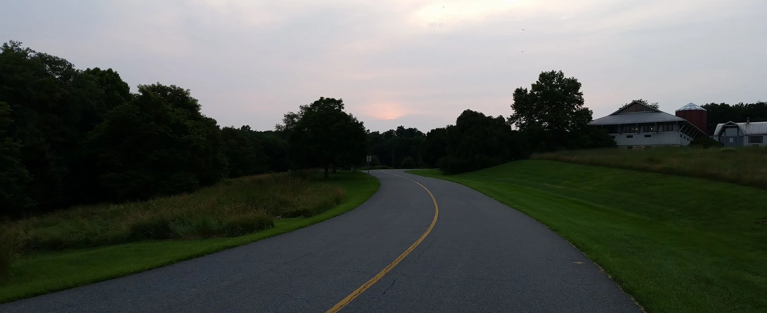 Path1 (1).jpg