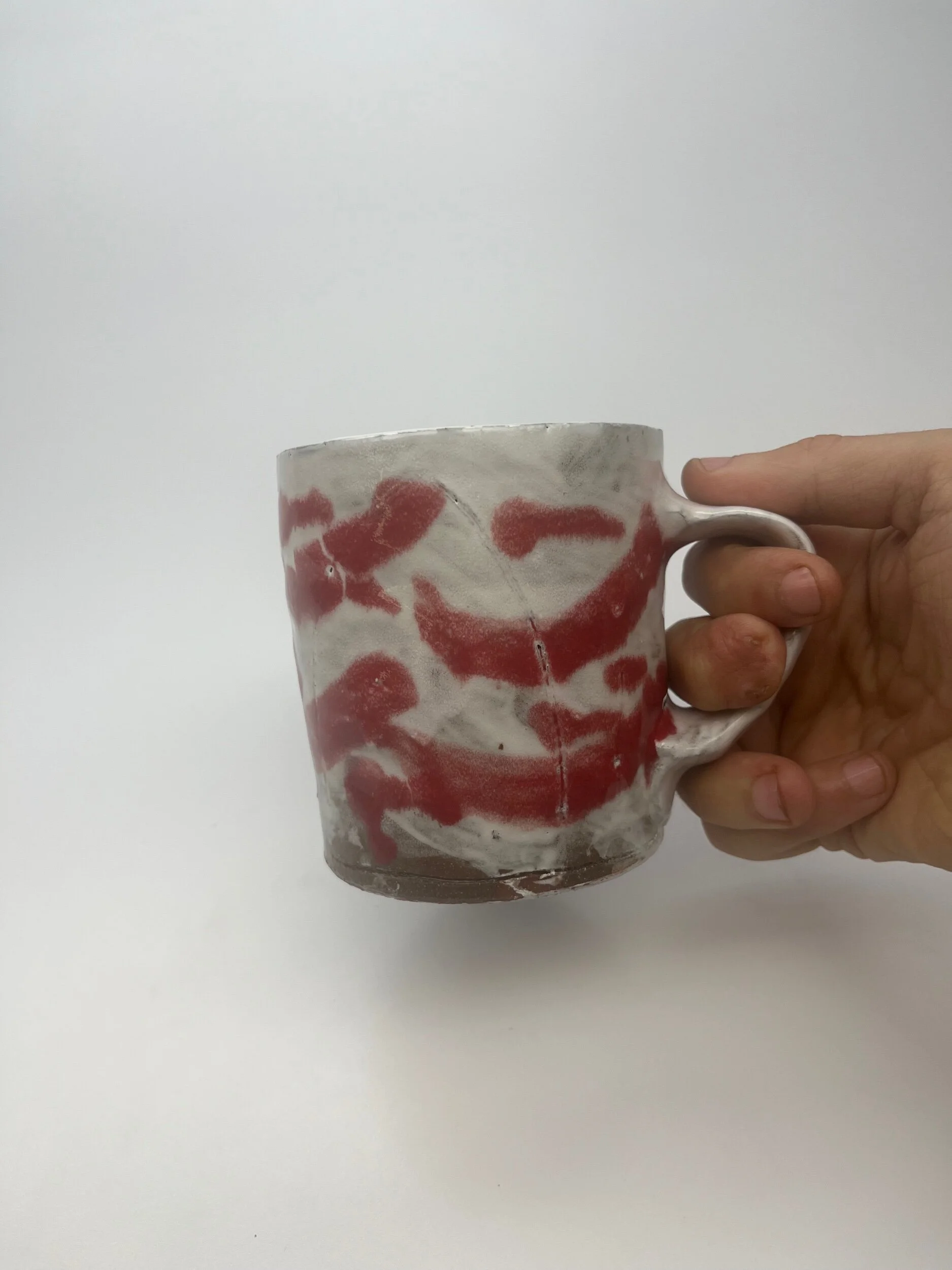 56890AB2-00D0-432D-BE55-D5DBA959044D