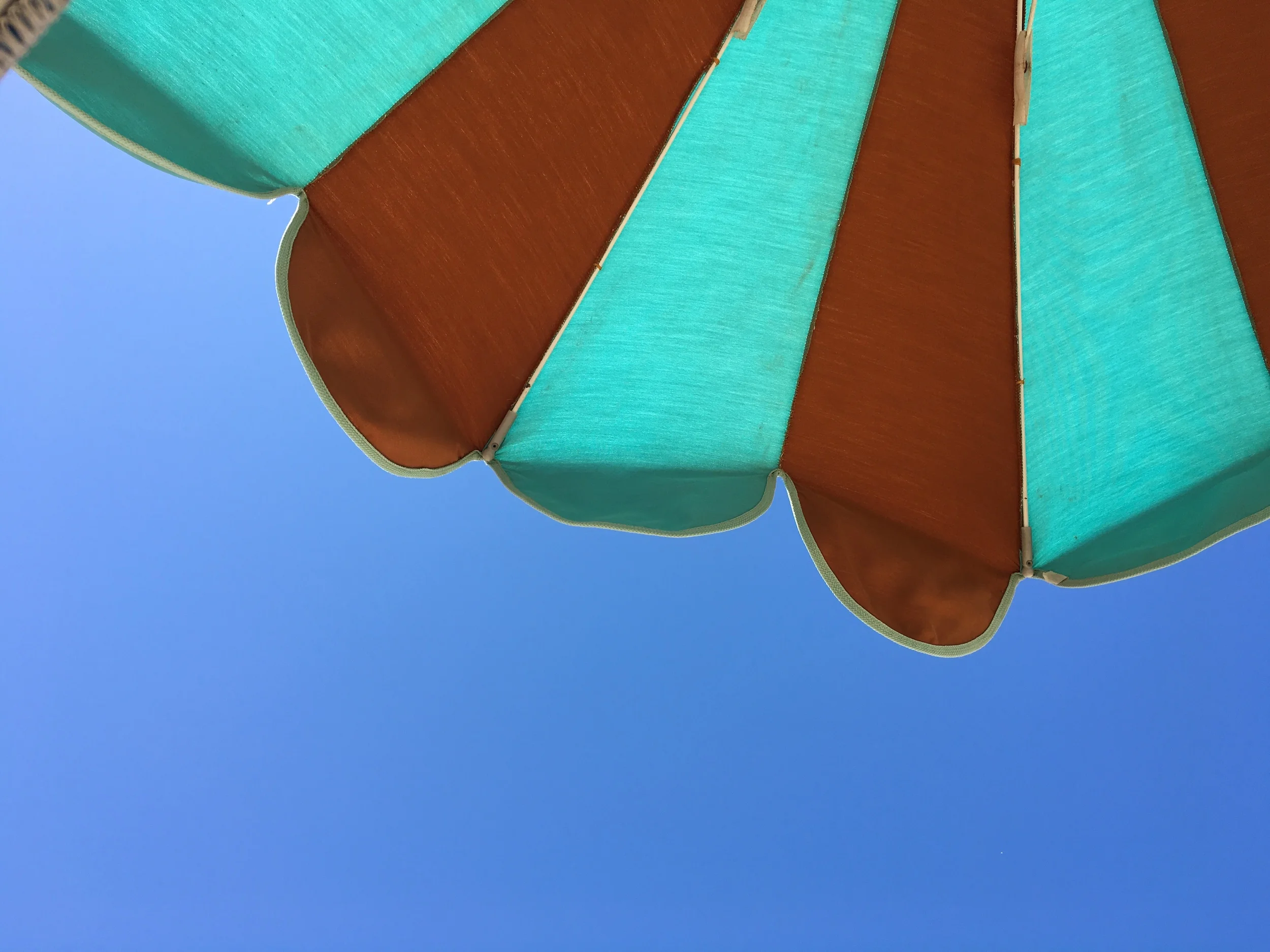image.jpg