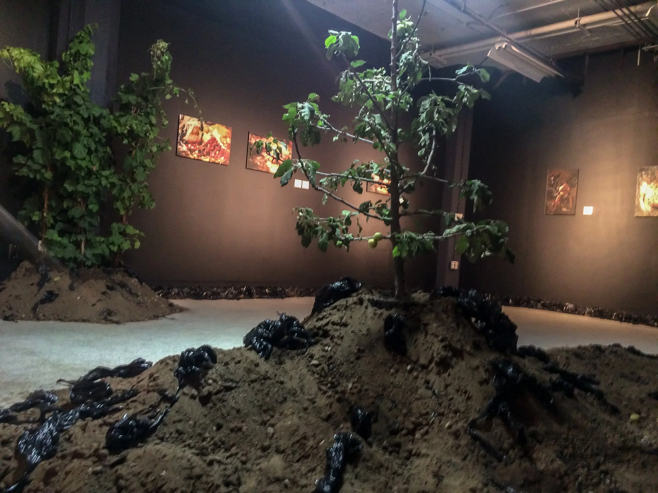 Installation Image