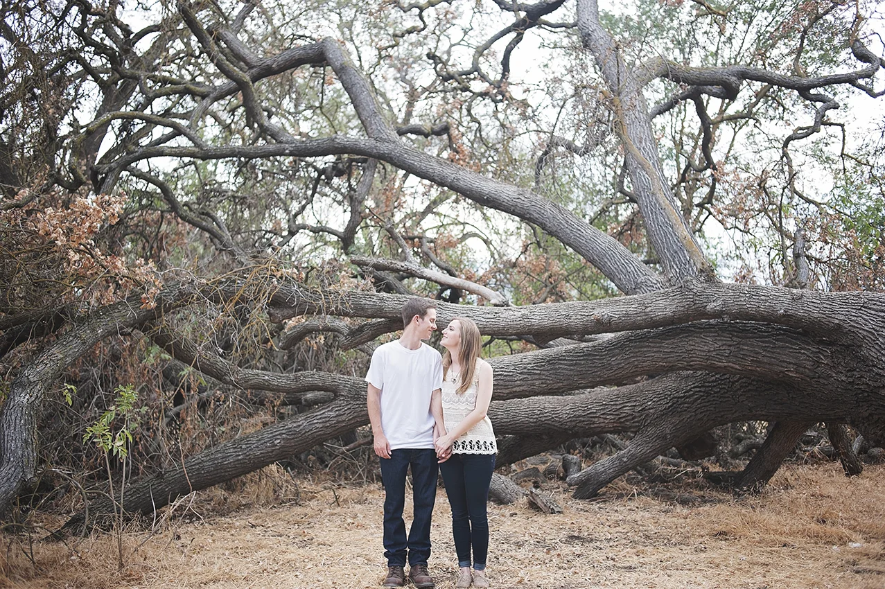 Stephanie Benge Photography | Nashville, TN Wedding Photographer