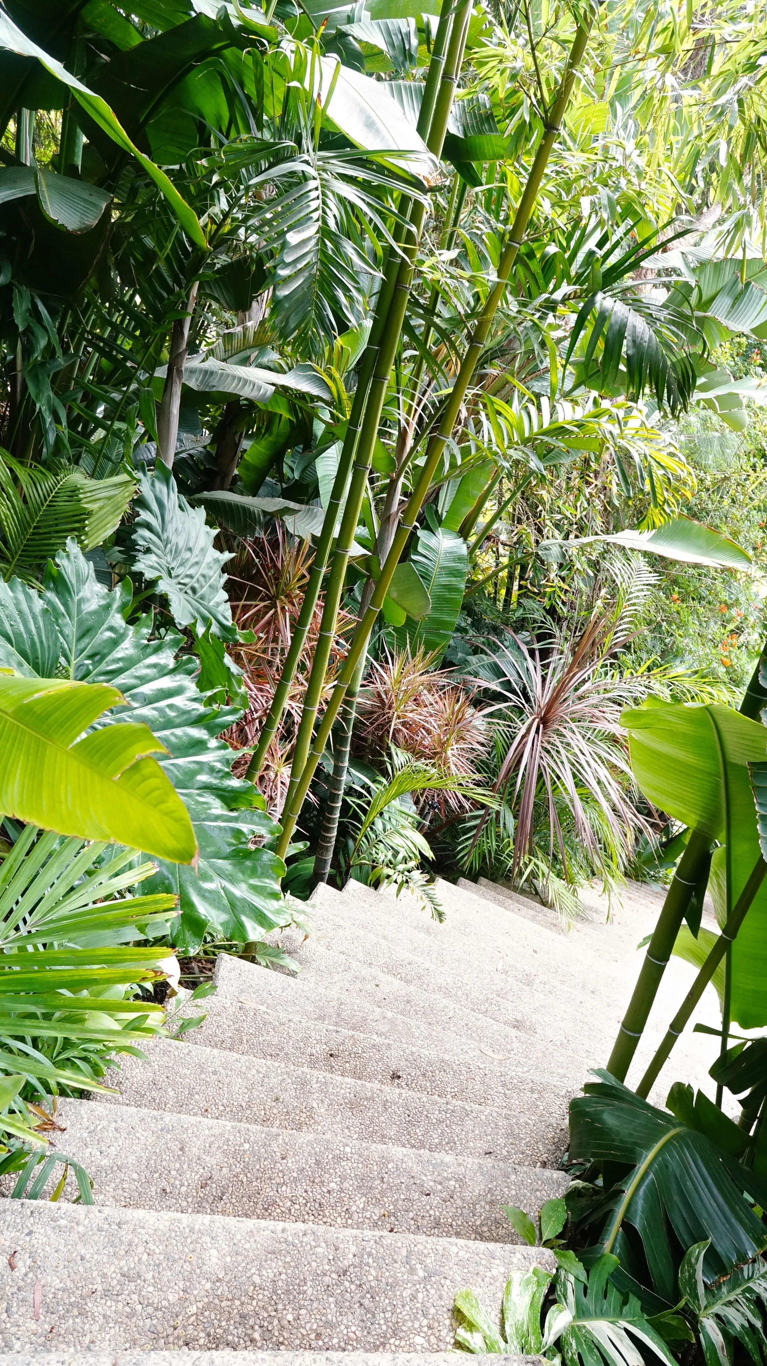 sheats-goldstein-residence-garden.jpg
