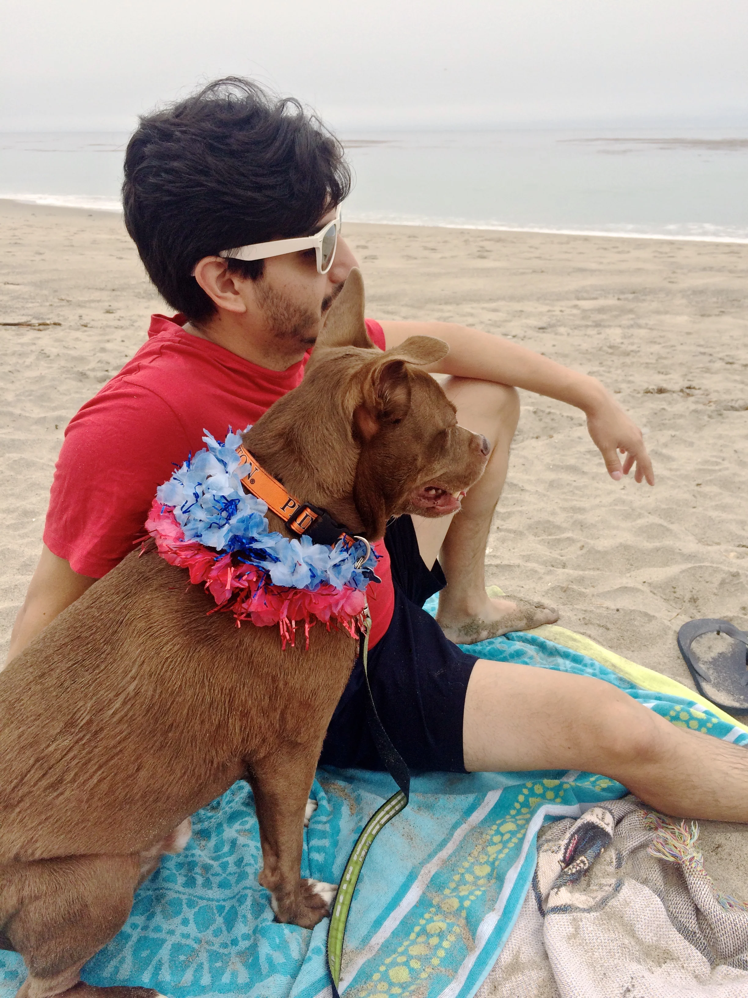 greg-and-gatsby-beach.jpg