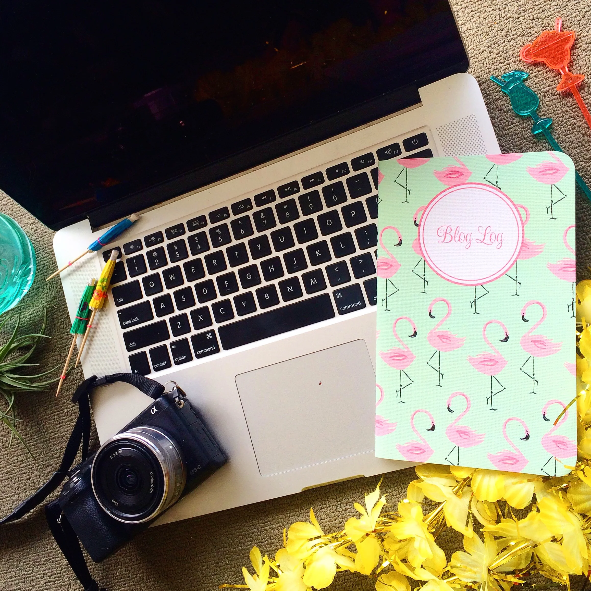 may-designs-blog-log.jpg