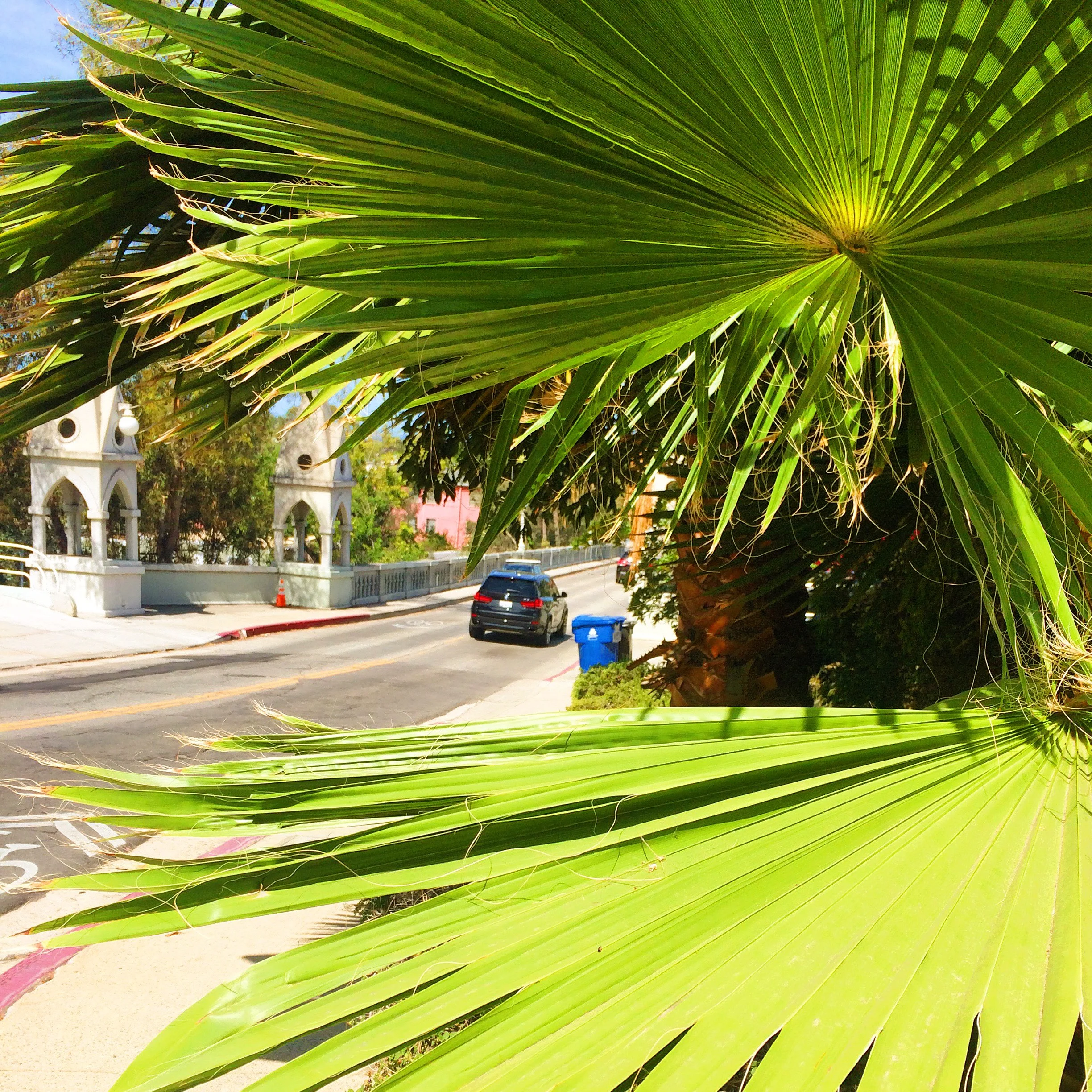 shakespeare-bridge-los-feliz.jpg