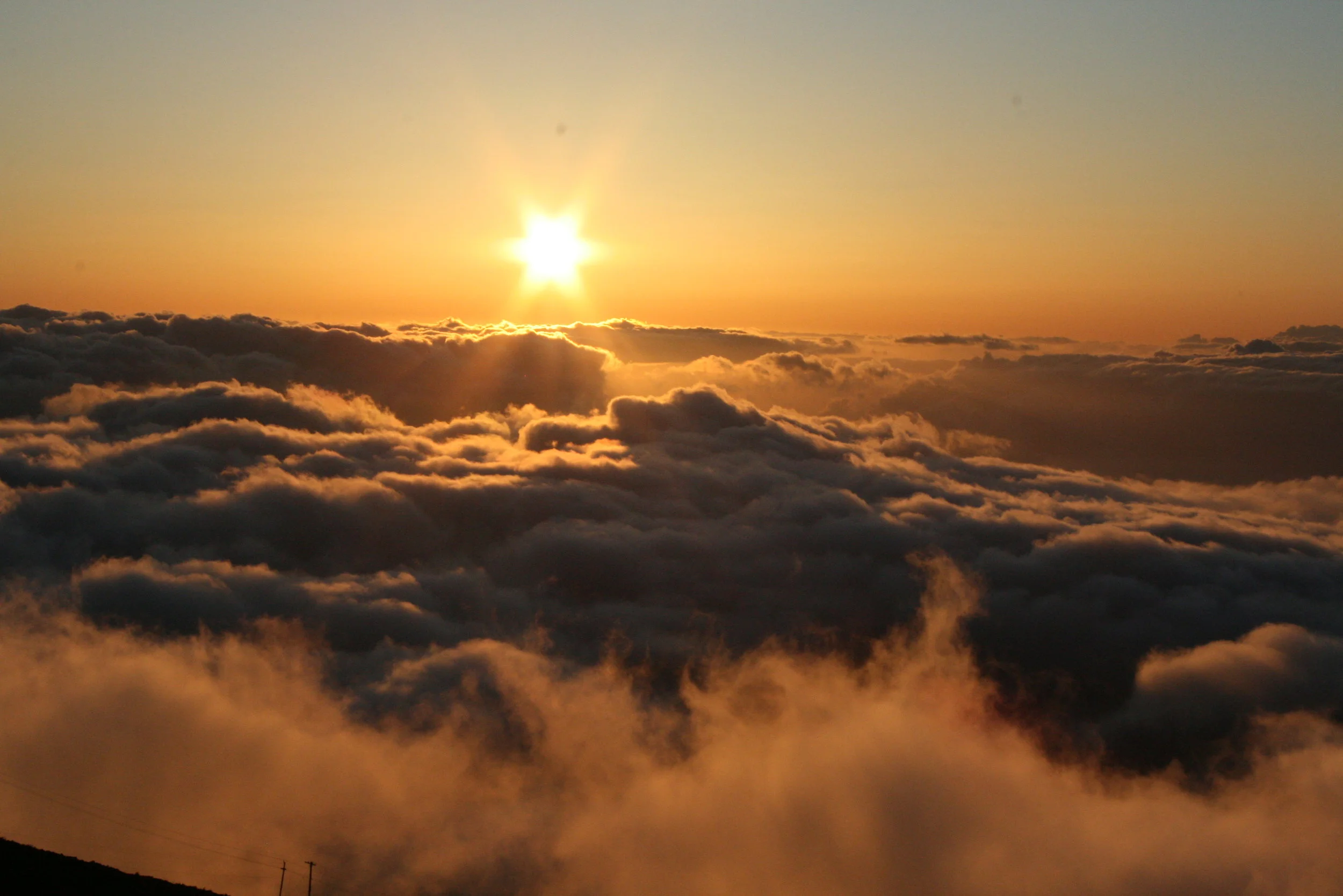 image credit: jill via flickr under this license