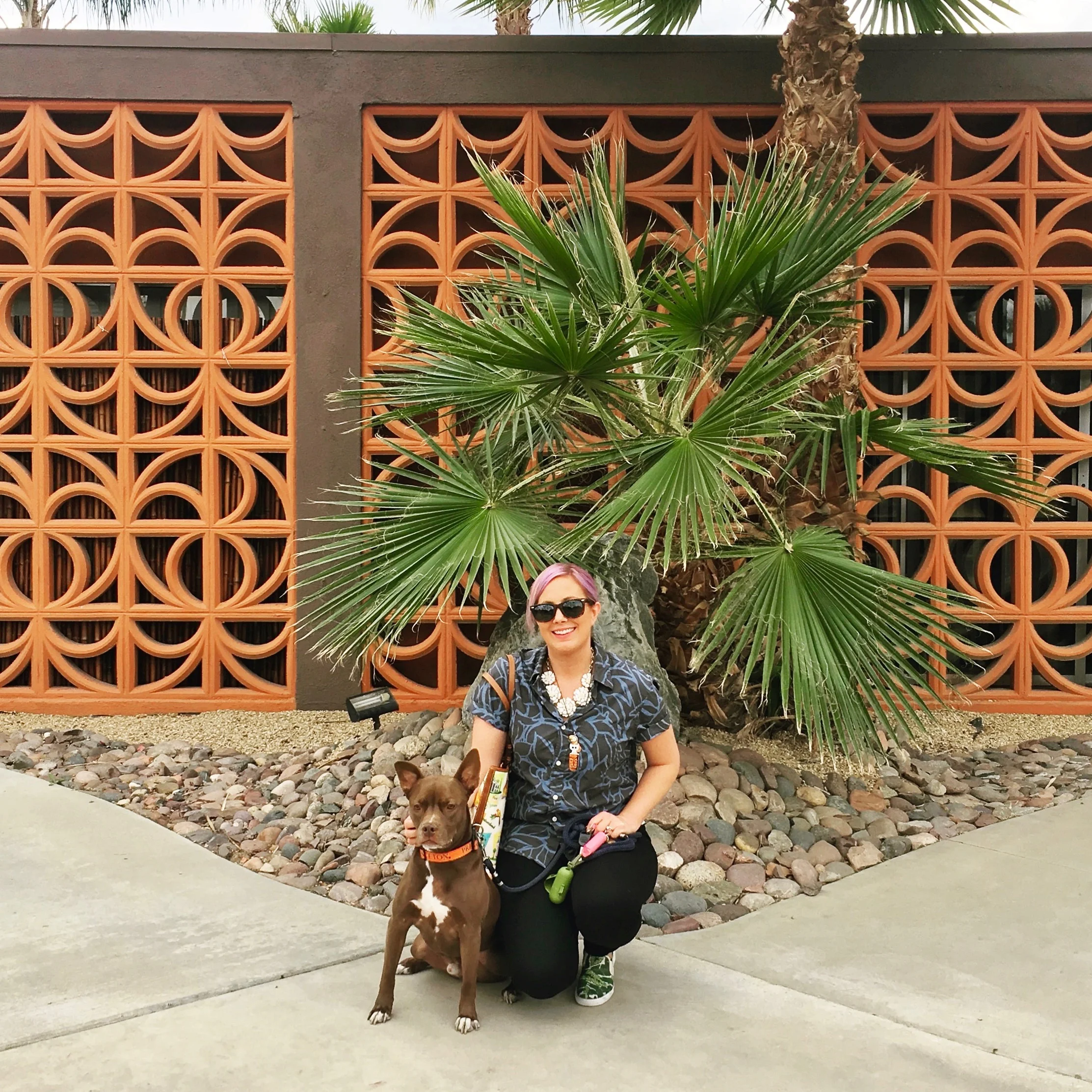 mod-palm-springs-brise-soleil-breeze-block.jpg