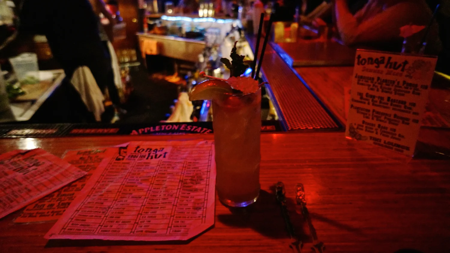 grog-log-tonga-hut.jpg