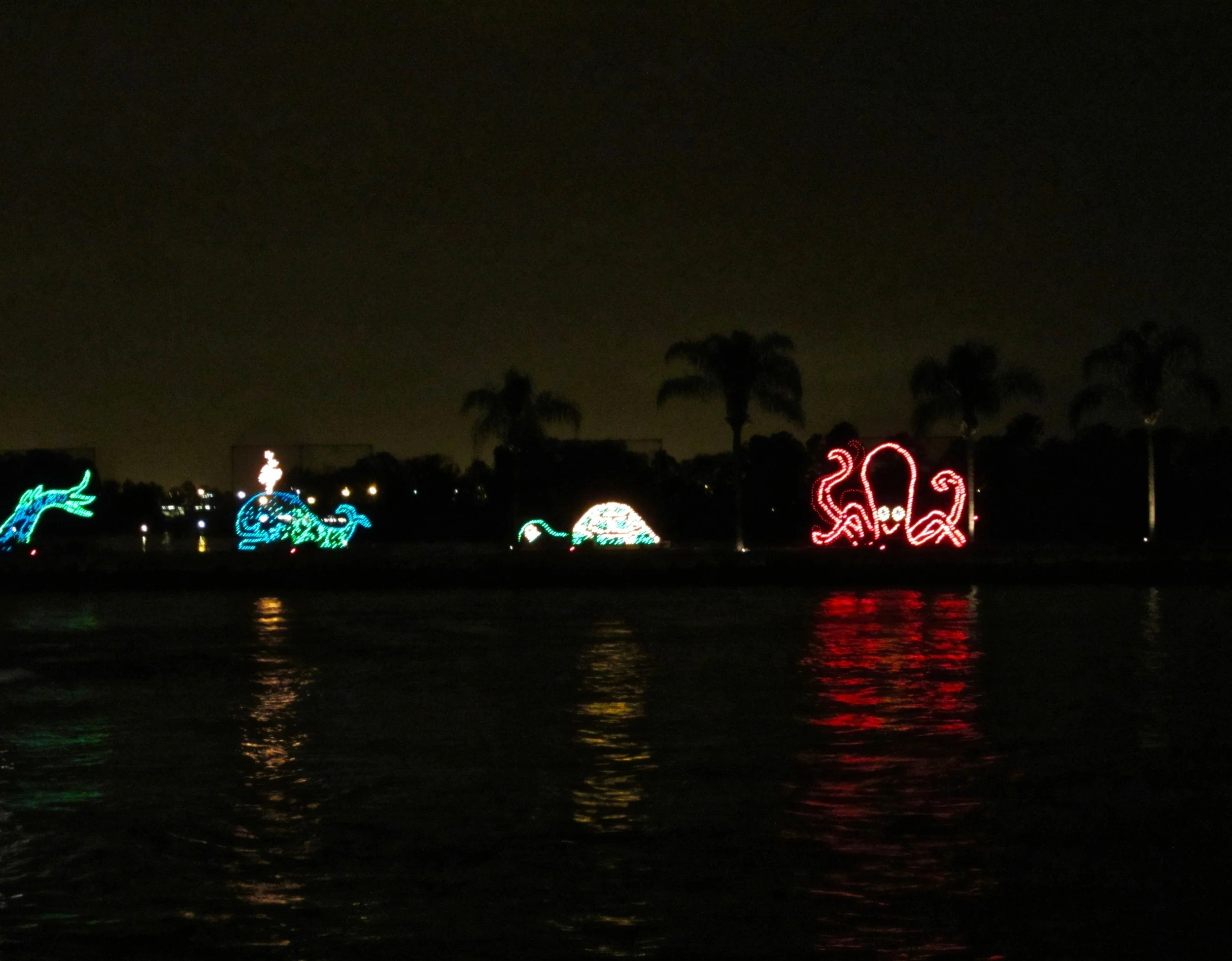 electrical-water-pageant.jpg