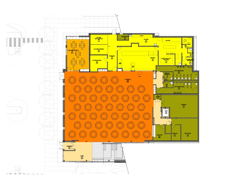 Level 1