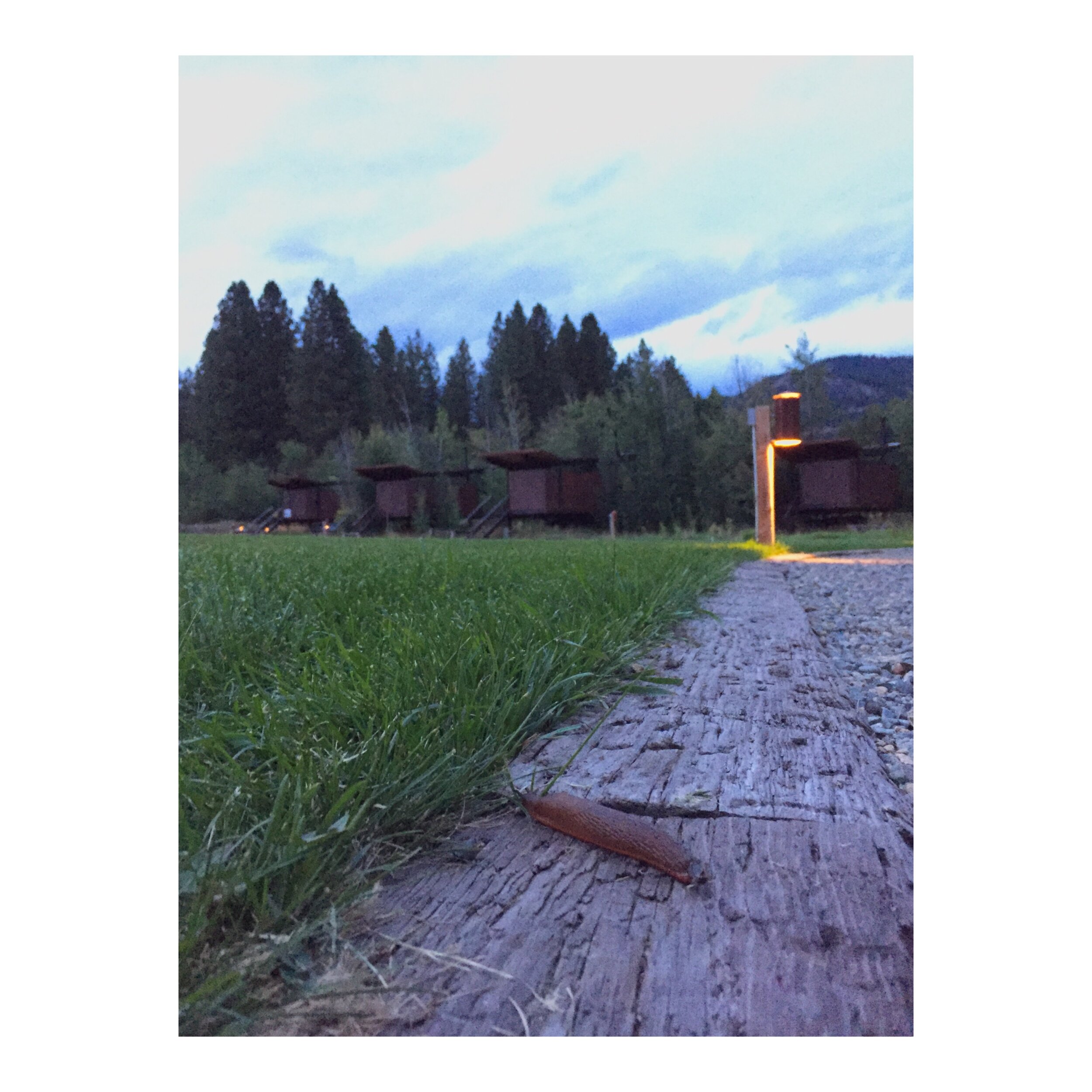 Slug agains the Rolling Huts in Methow Valley