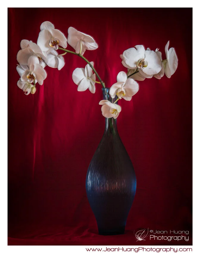 This Year, I Strive to Continue Creating, as Always... - Los Angeles Fine Art Photographer