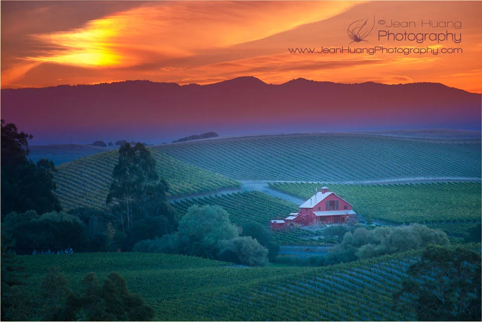 Good Morning, Napa - Los Angeles Fine Art Photographer
