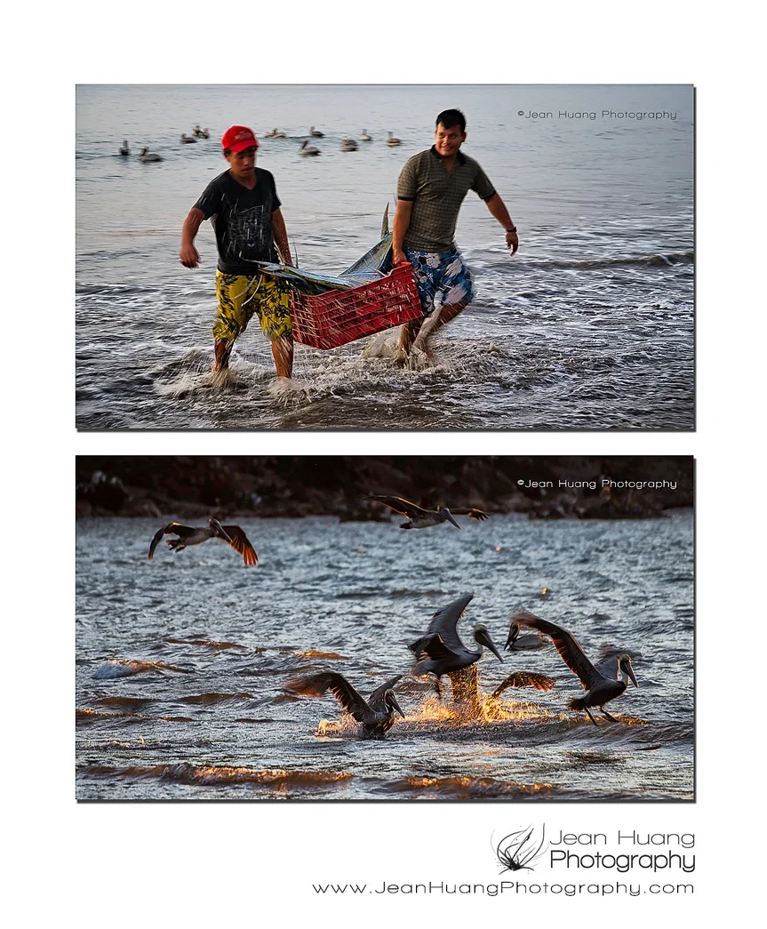 In Rush of Harvest before Sun-down - Los Angeles Travel Photographer
