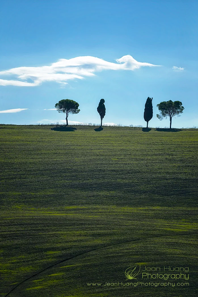 I Met a Bird in the Sky in Val d'Orcia, Tuscany - Los Angeles Travel Photographer