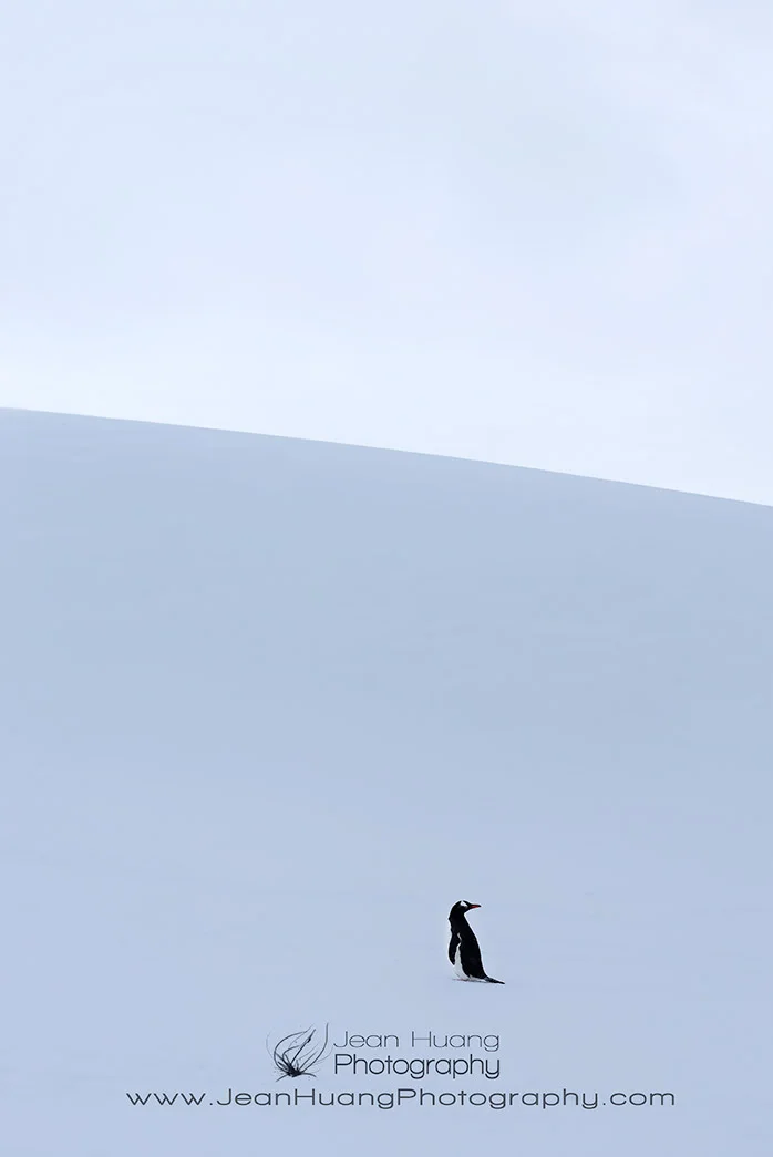 I've Gone to the End of the World and Back - Los Angeles Travel Photographer