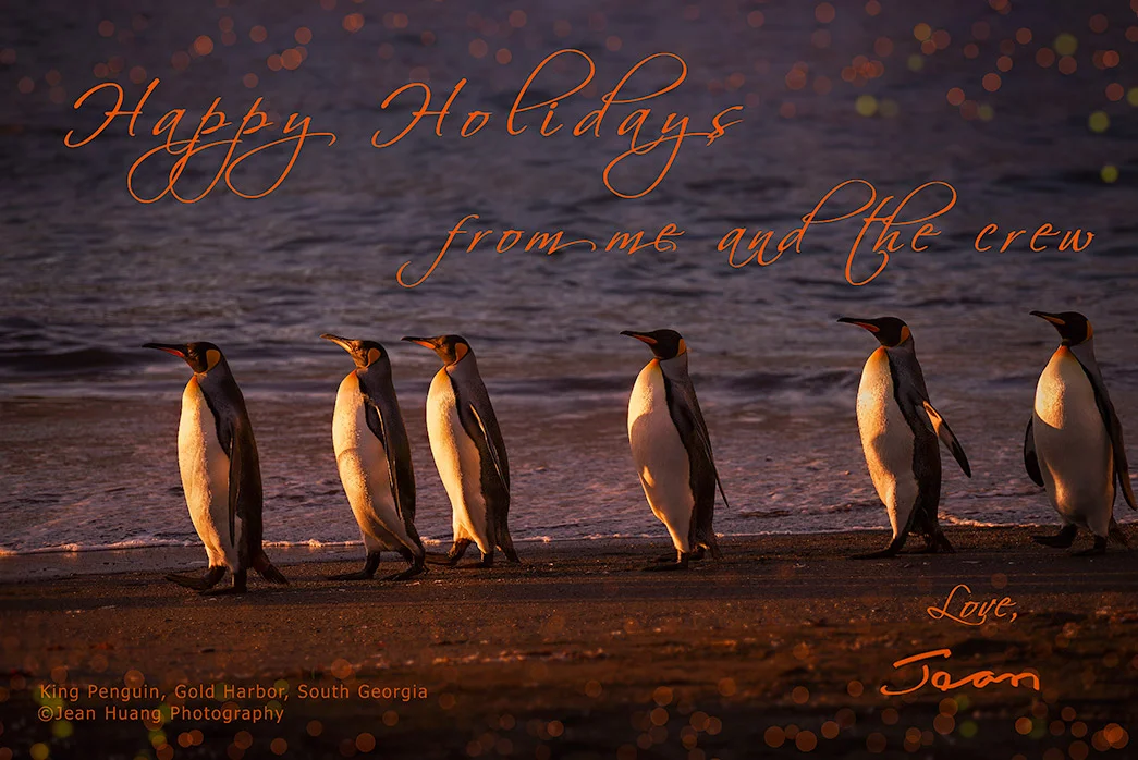 Thank you and happy holidays from us to you - Los Angeles Travel Photographer