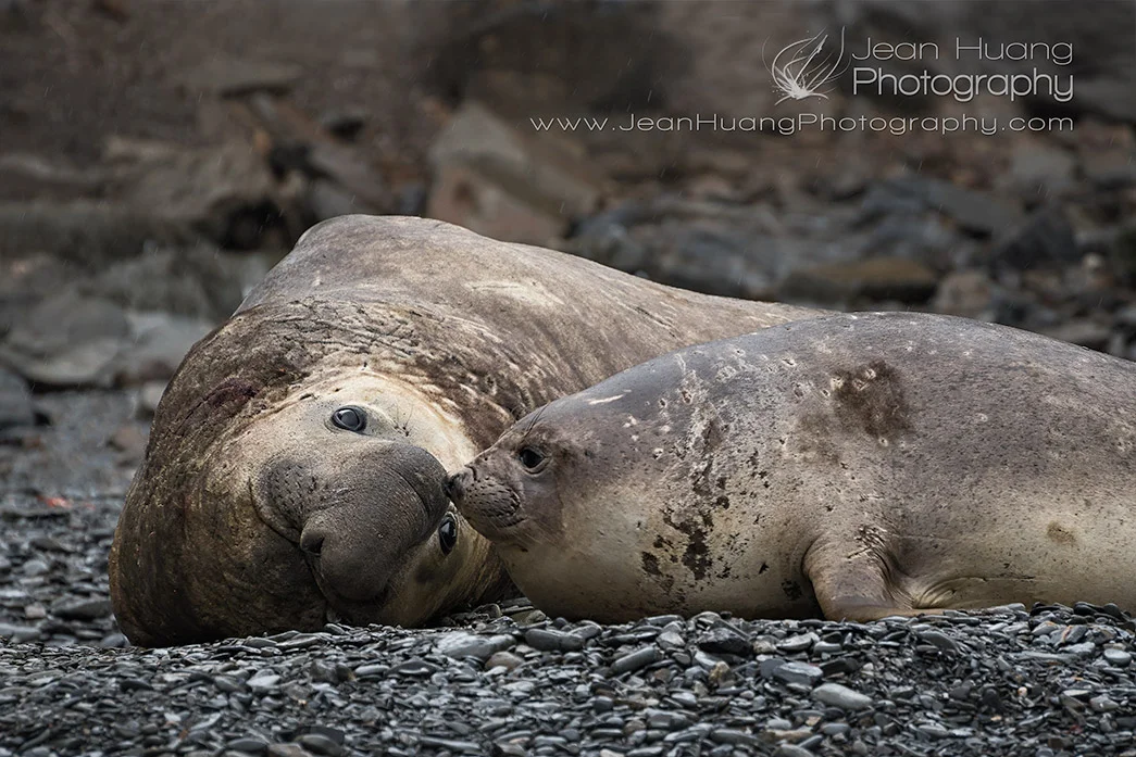 Happy Valentine's Day - Los Angeles Travel Photographer