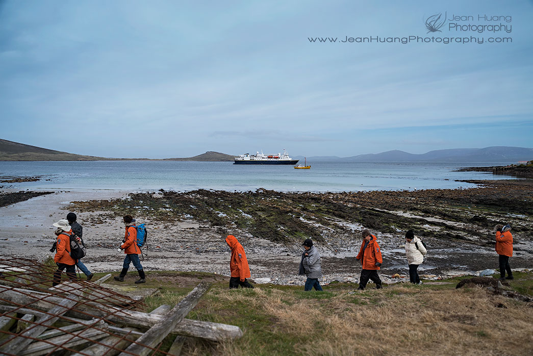 Carcass Island, Falkland Islands - ©Jean Huang Photography