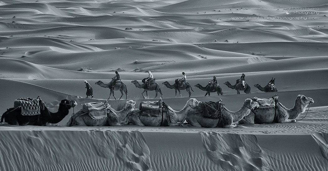 Camel Lines - ©Jean Huang Photography