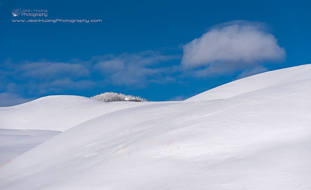 Snowscape - ©Jean Huang Photography