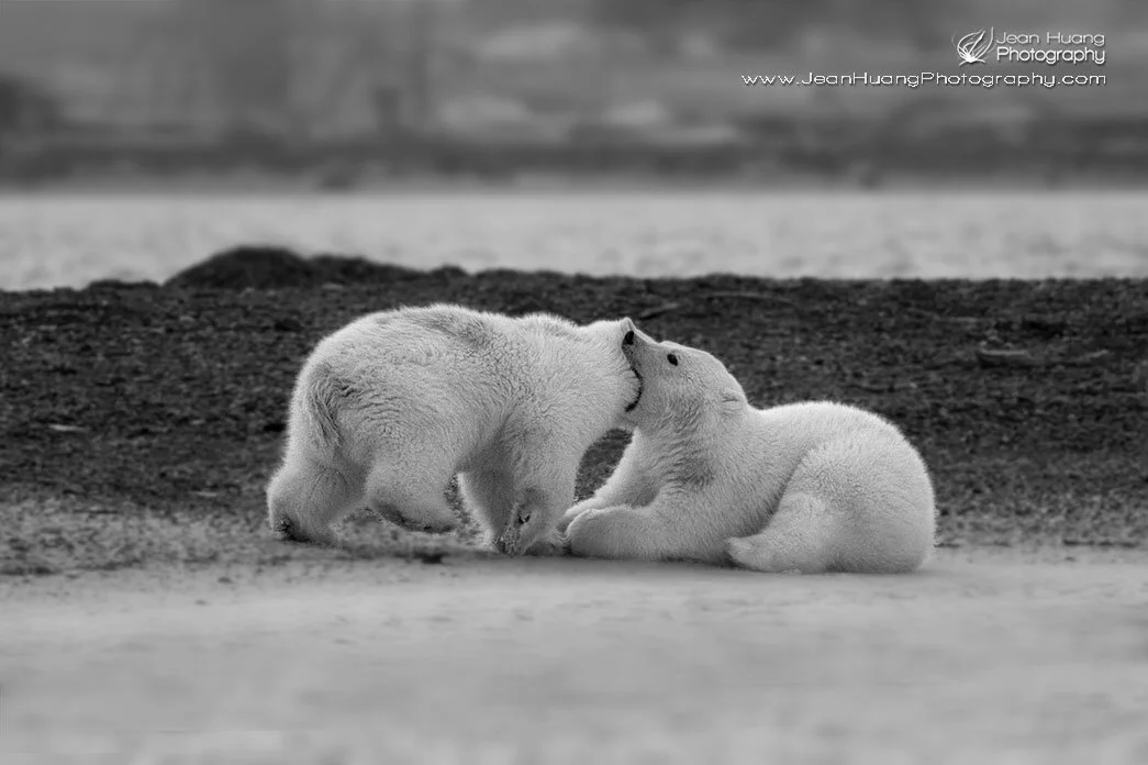 The Era after Social Distancing Los Angeles Travel Photographer