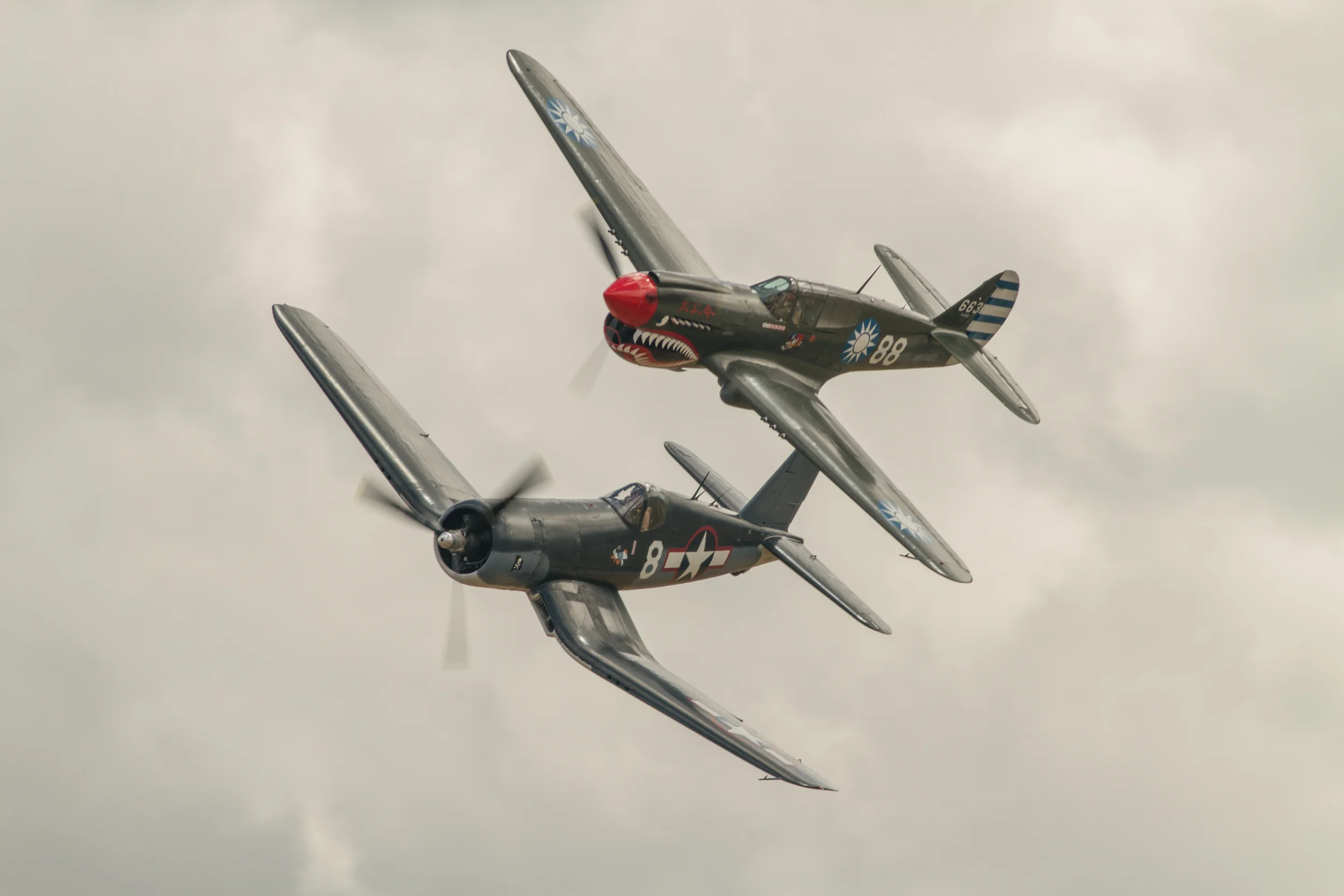 Dogfight over Wairarapa