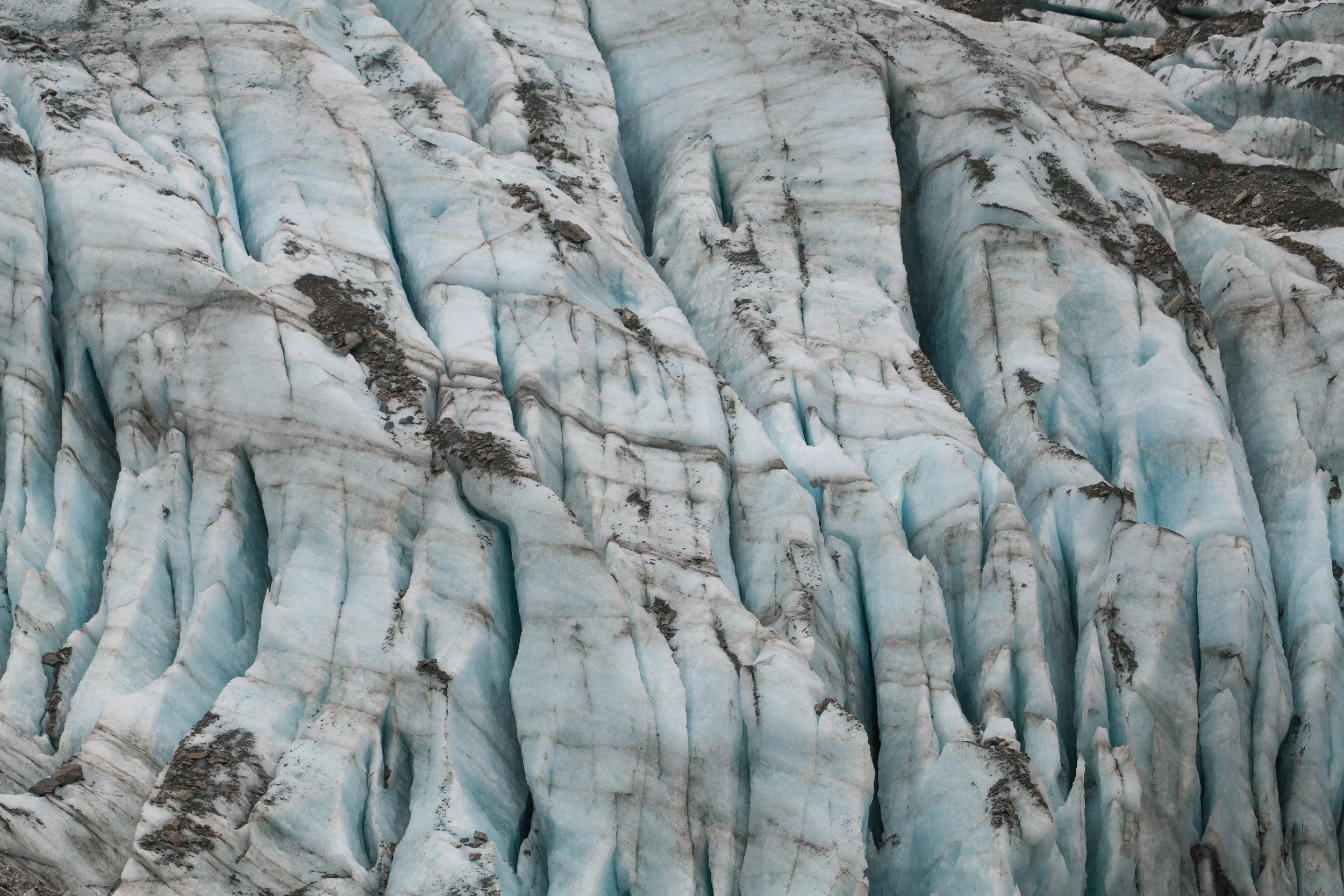 Fox Glacier up close