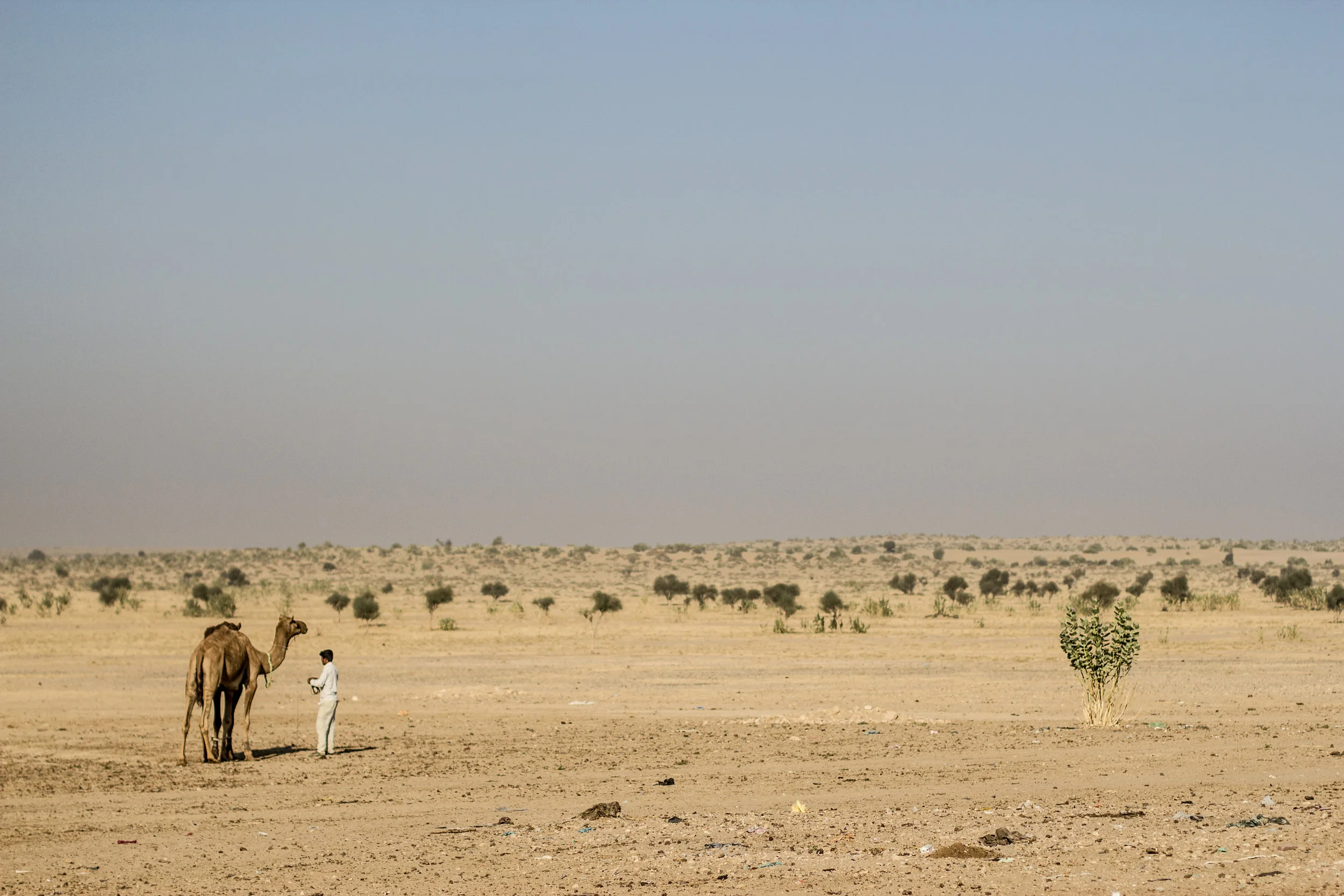 India_cd3_Hits-0270.jpg