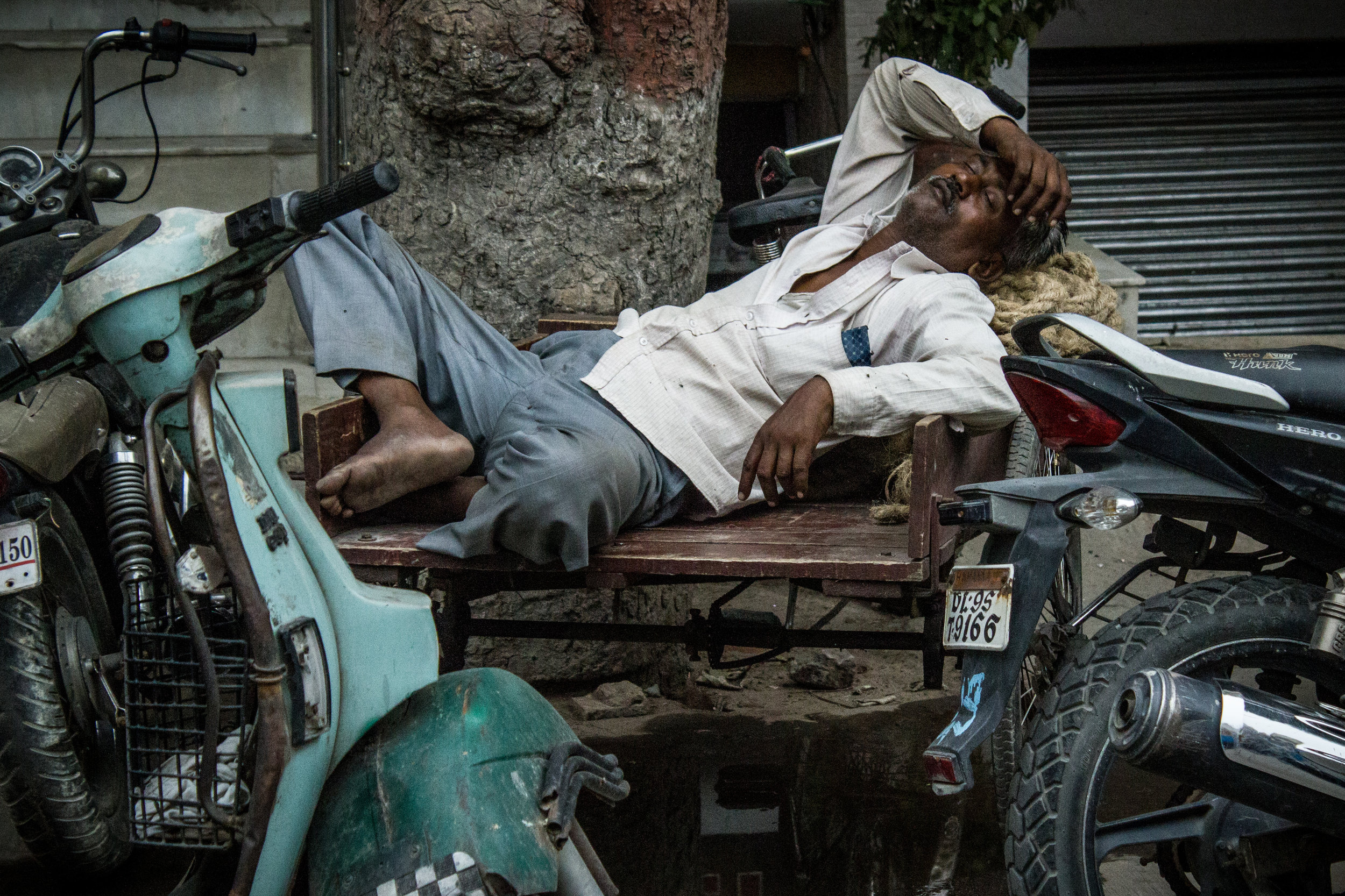 India_cd1_Hits-7122.jpg