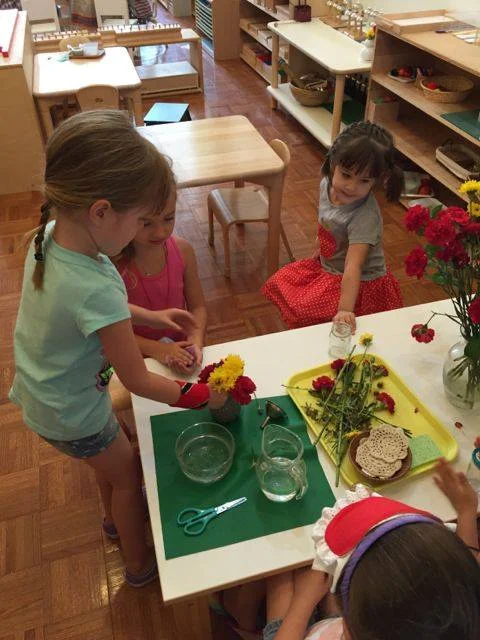 Flower Arranging in Ms. Lam Montessori classrooms