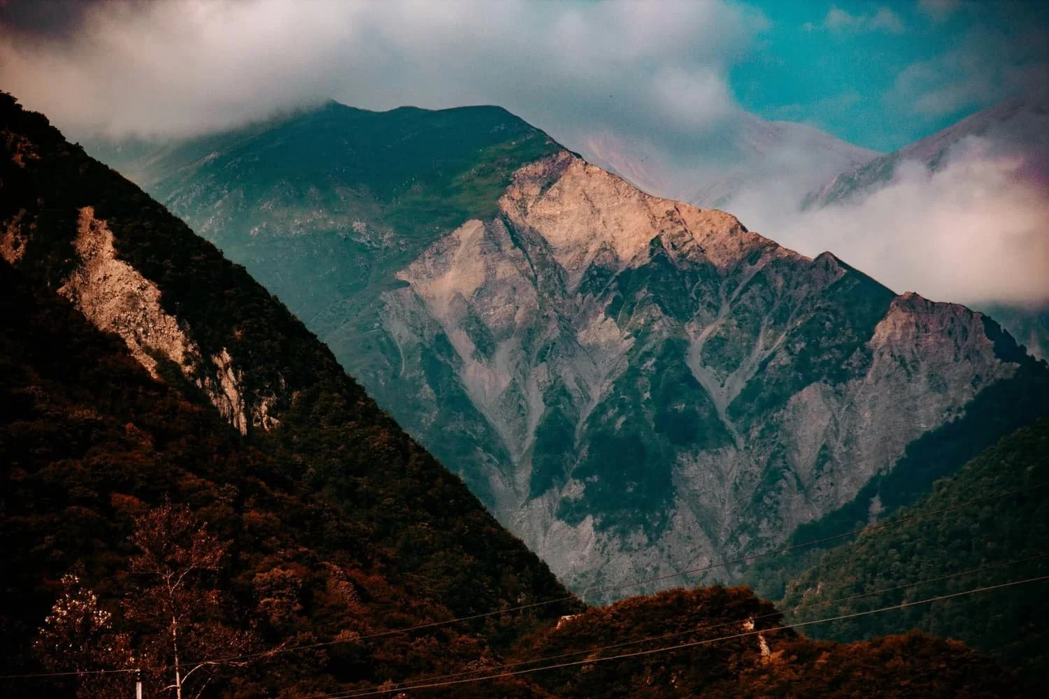 Brisbane City Notary Public