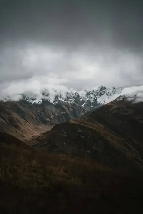 Criminal defence lawyers