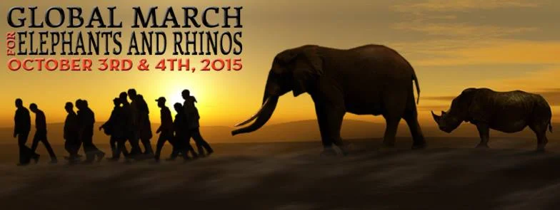 The Global March for Elephants and Rhinos!