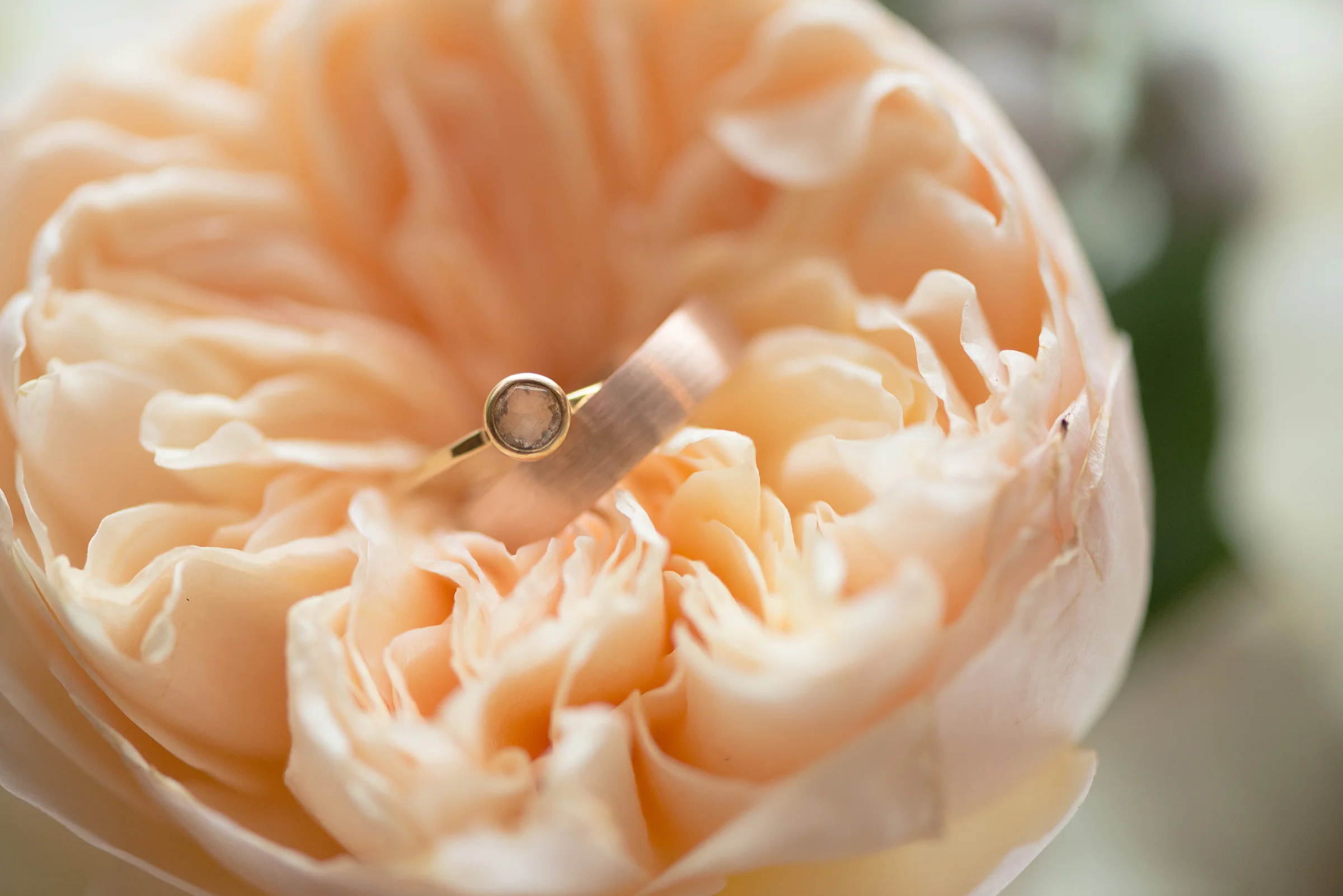 RD_29_GatlinburgWedding_GabbyDaltonPhotography.jpg