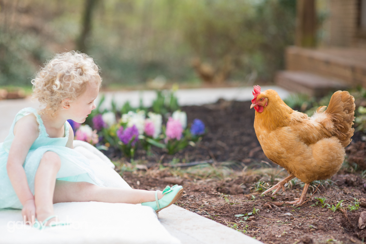 2016-03-17_Chicks_02.jpg