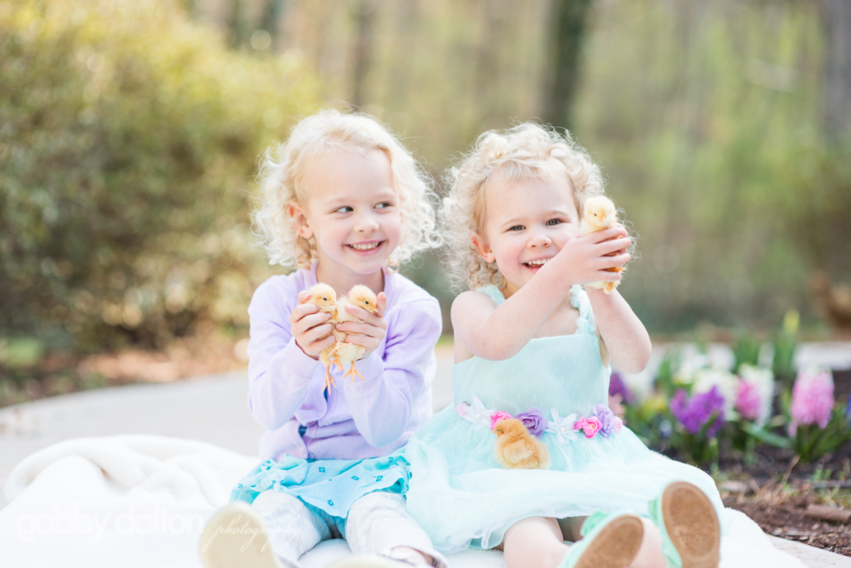 2016-03-17_Chicks_06.jpg