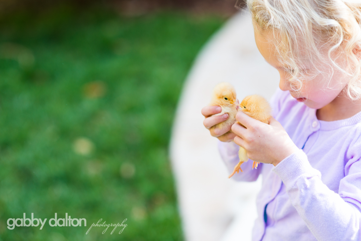 2016-03-17_Chicks_34.jpg