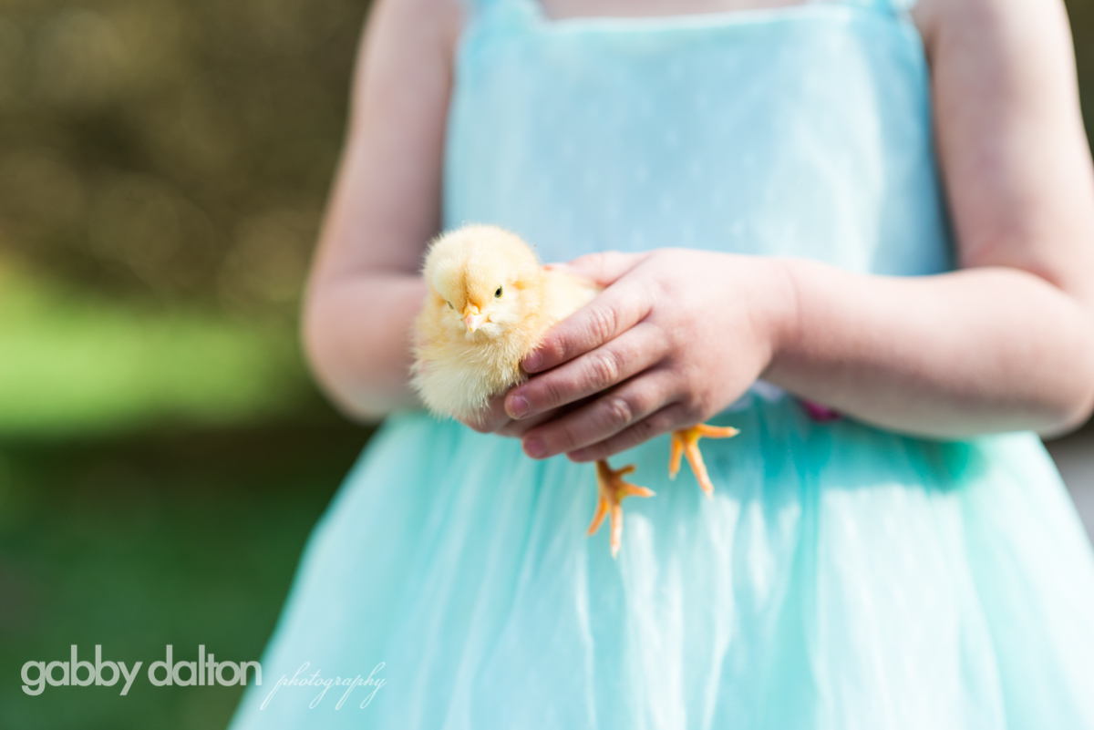 2016-03-17_Chicks_38.jpg