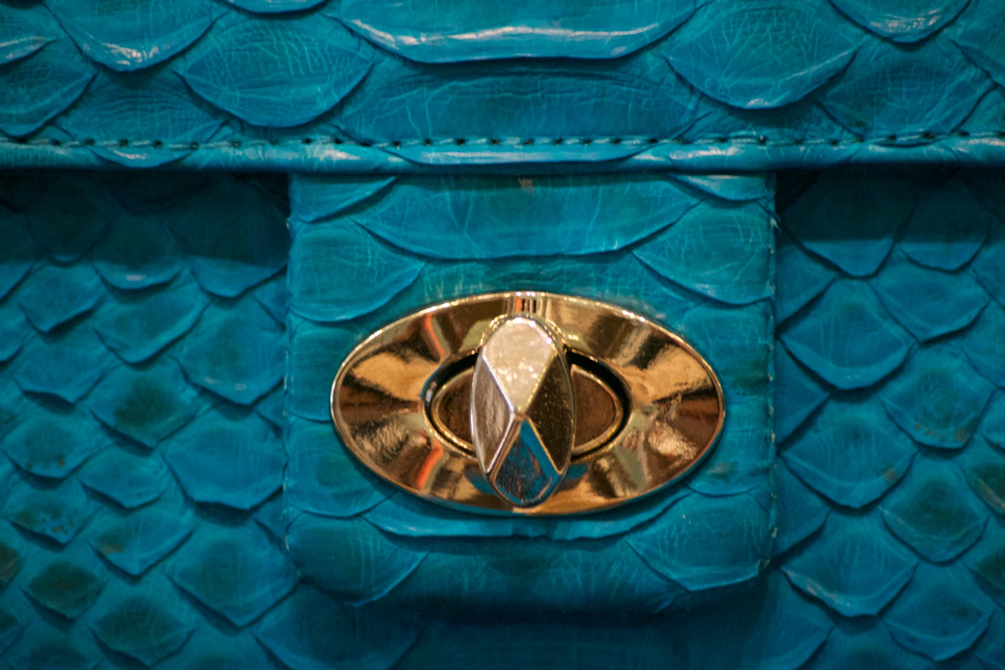 If this turquoise python was the only shot I captured that day, it would have been fine by me (not really but you know what I mean).