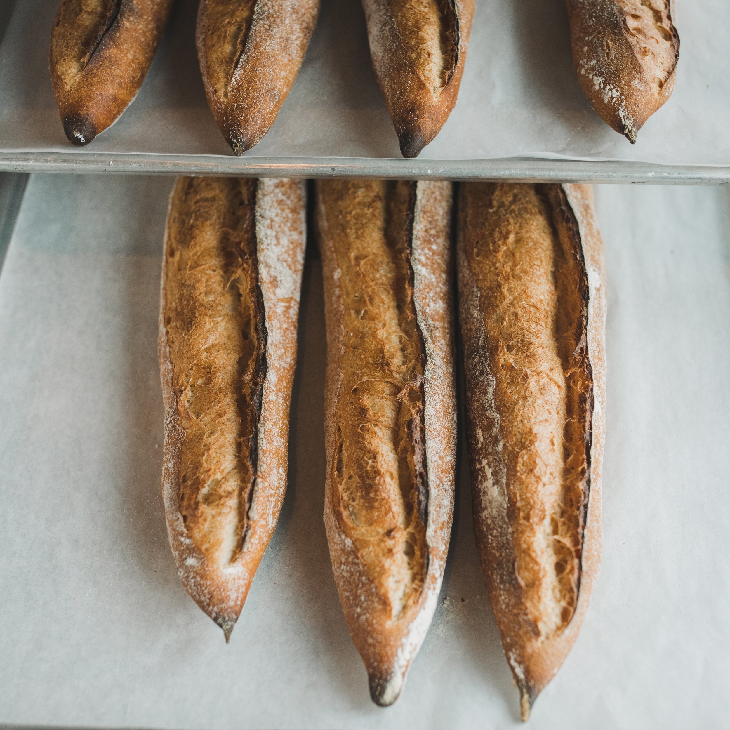 hommage bakehouse brean rack art 1x1 9546 - kodak portra 800 v4.jpg