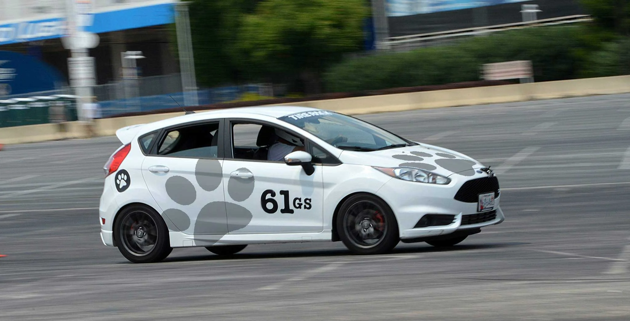 Dogpark_Racing.jpg
