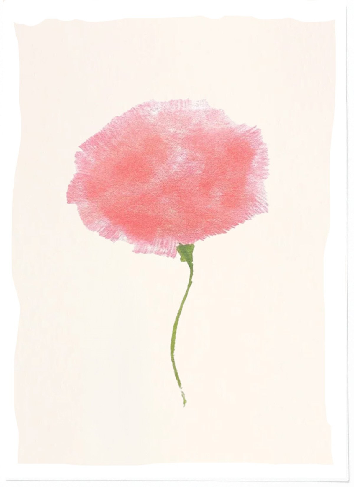 coral poppy.jpg