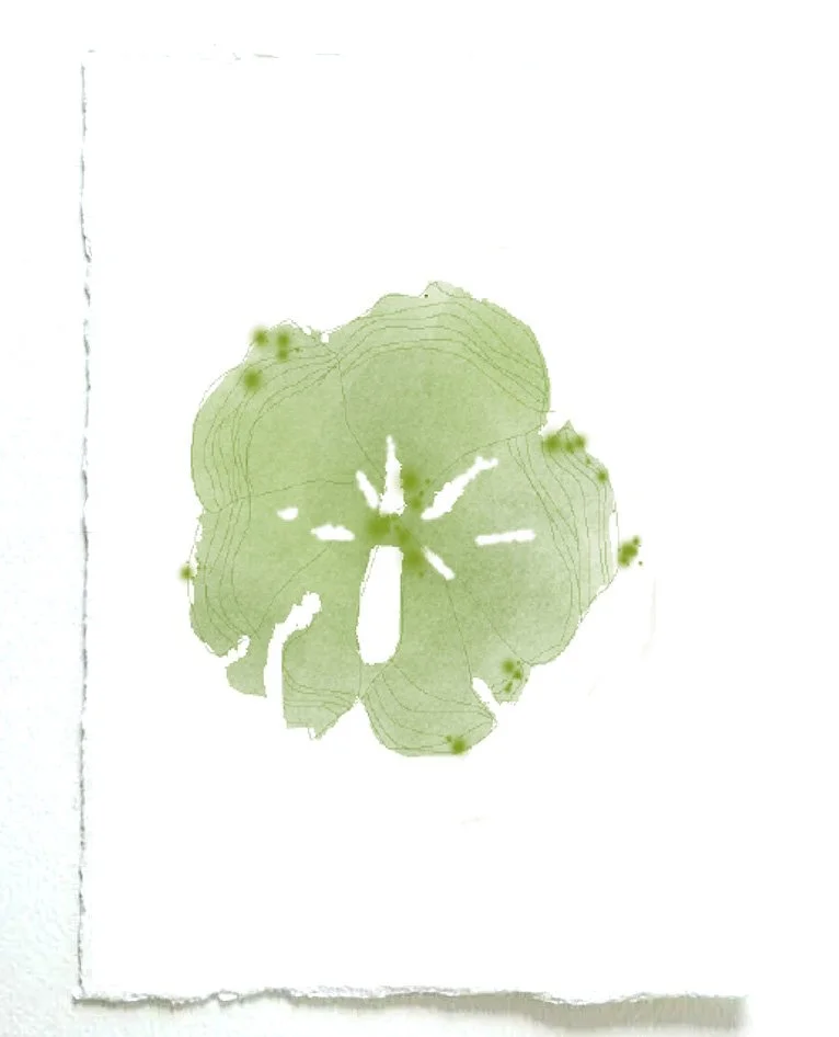 seaweed 3 for site.jpg