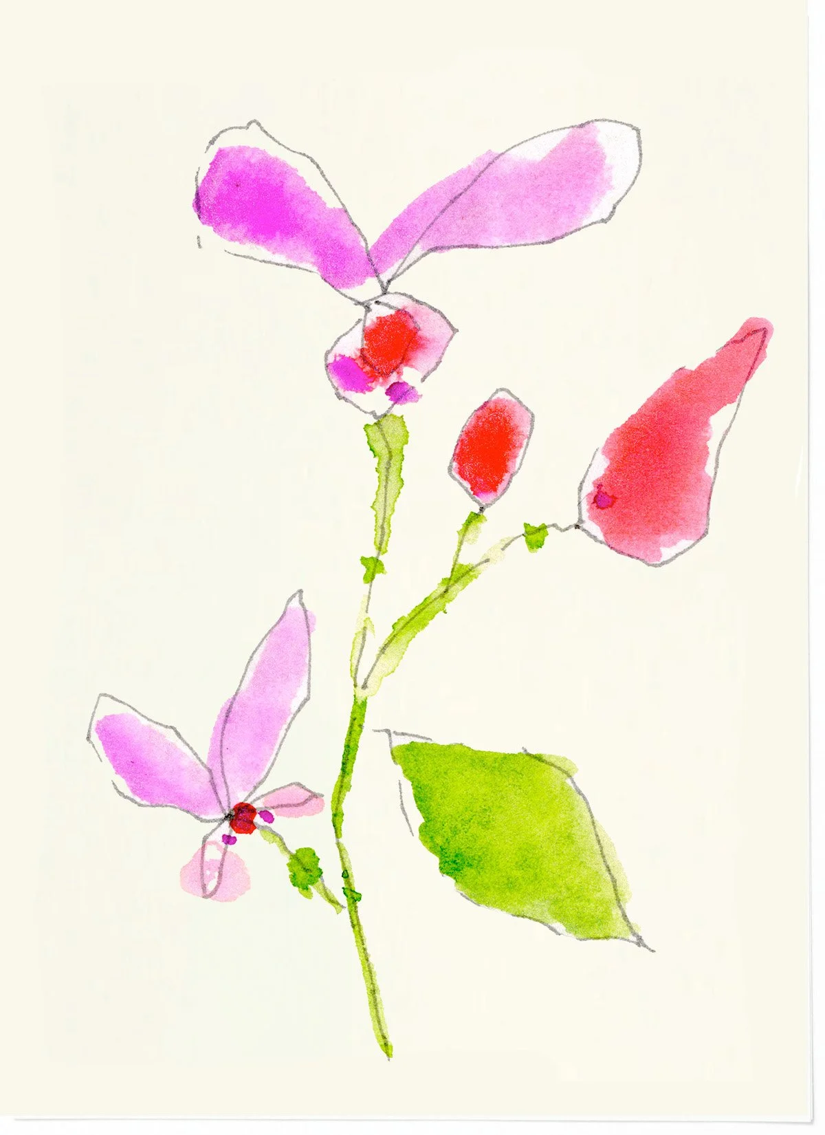 pink + fuschia.jpg