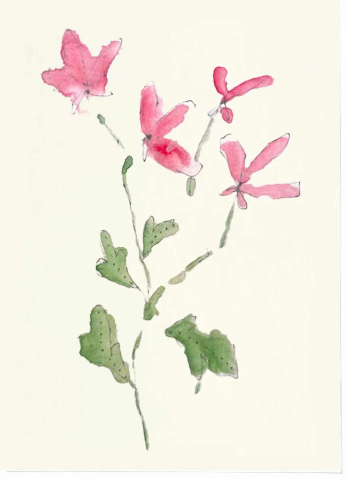 pink + fuschia.jpg