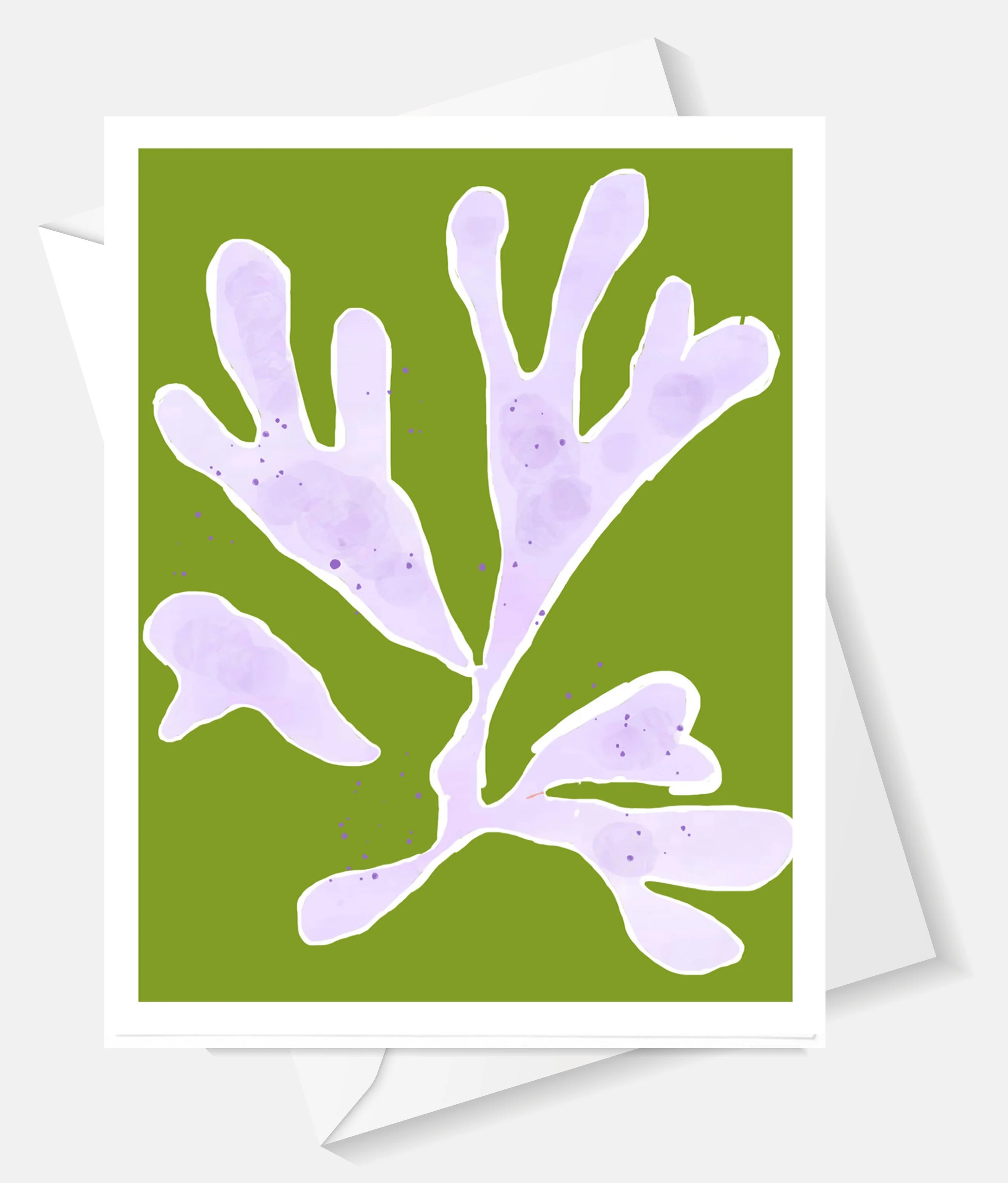 new seaweed.jpg