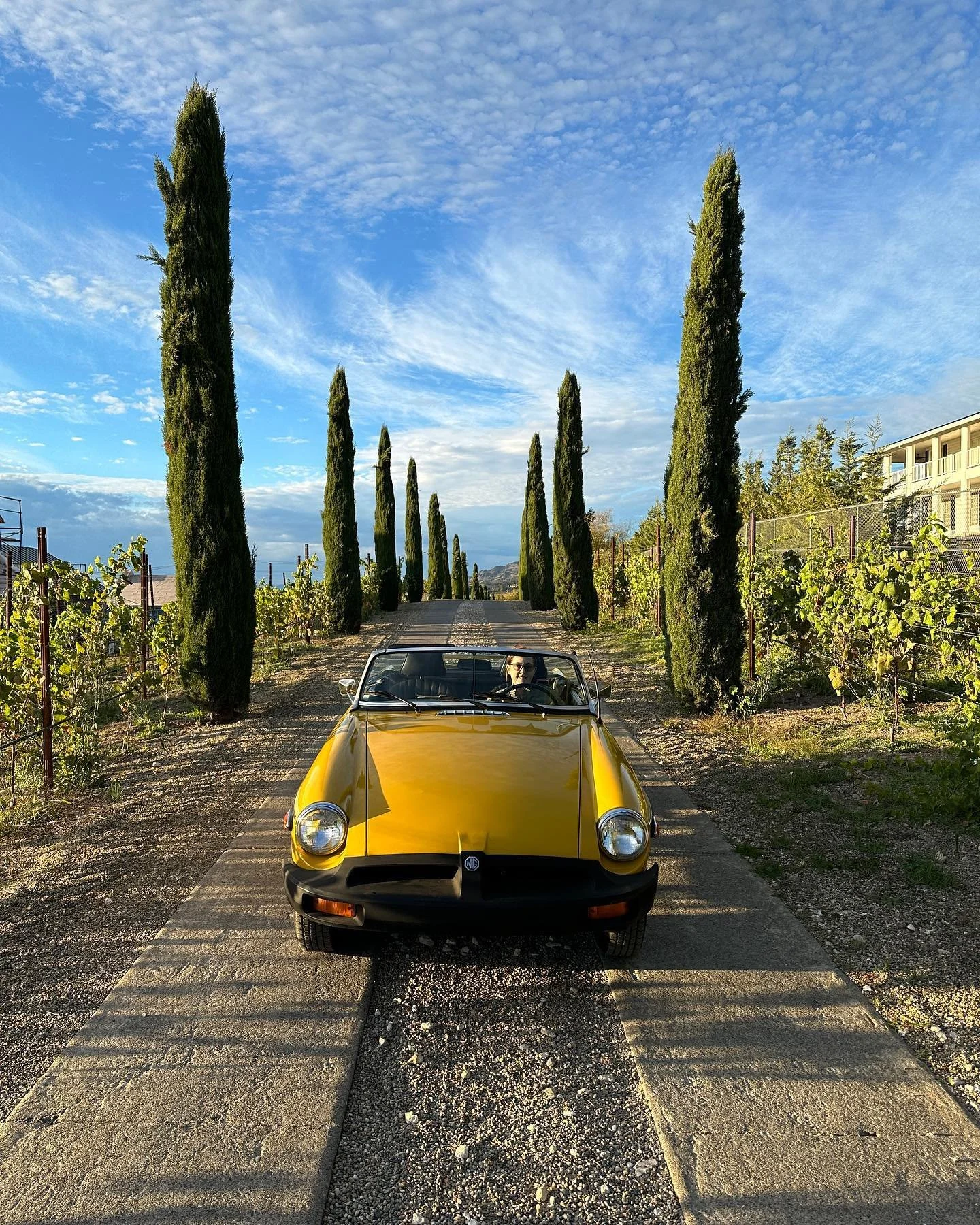 A perfect autumn day for a drive yesterday to pick up wine with the new labels I designed. What a beautiful place in the Napa Valley! #mg #1978mgb #napavalley #napavalleywine #topless