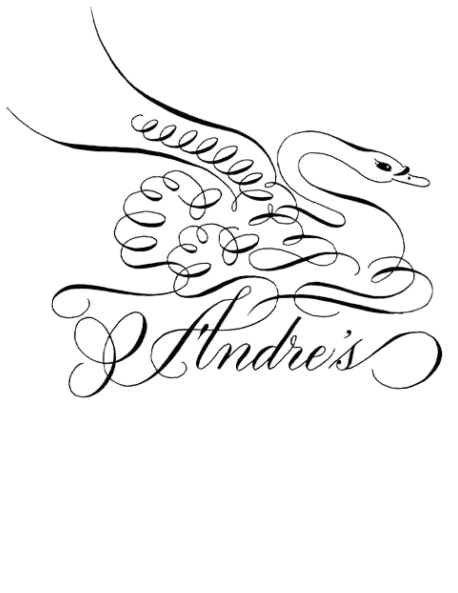 Untitled design (28).png (Copy)